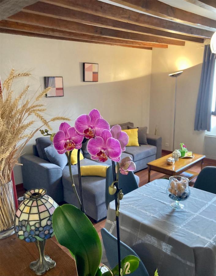 Appartement De La Breche 44 M2 Place Drouaise Au Coeur Historique Chartres Exteriér fotografie